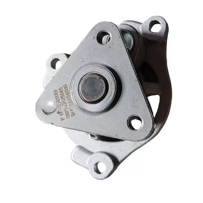 MG 5 Engine Water Pump,10245065,MG auto parts supplier